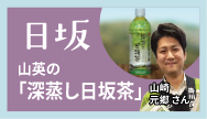 日坂-山英の「深蒸し日坂茶」