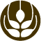 麦