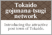 Tokaido gojunana-tsugi network